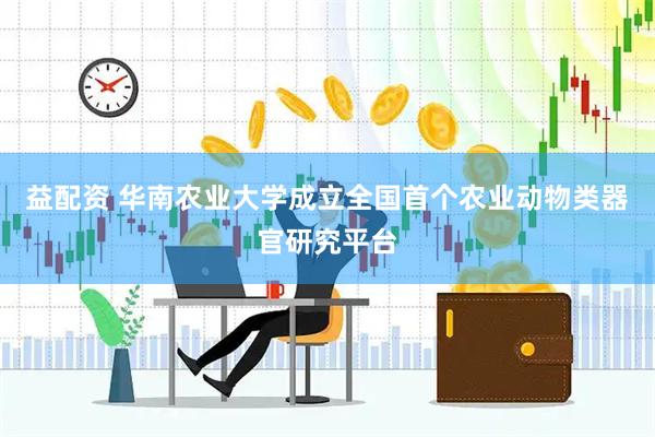 益配资 华南农业大学成立全国首个农业动物类器官研究平台